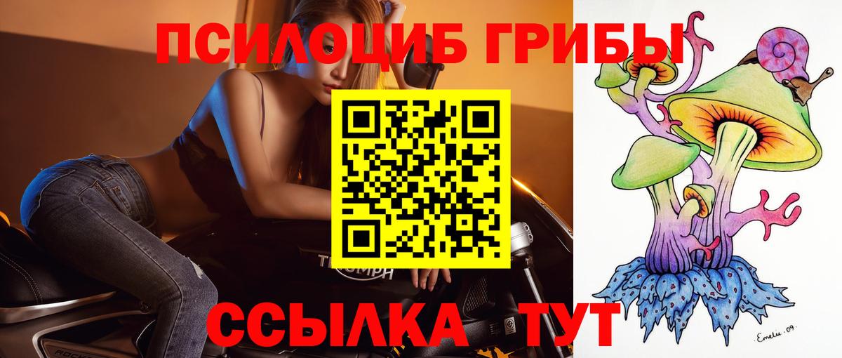 Галлюциногенные грибы мухоморы  Вход с VPN  Советский  Псилоцибиновые грибы Cubensis 